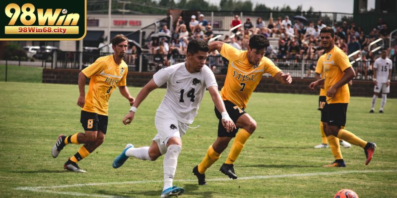 Ưu và nhược điểm